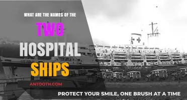 Discover the Names of the Two Hospital Ships in Service