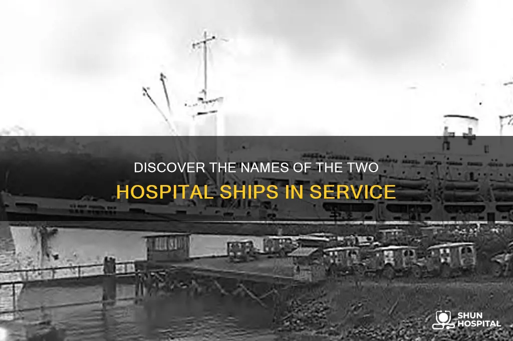 what are the names of the two hospital ships