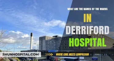 Exploring Derriford Hospital: A Guide to Its Ward Names and Locations