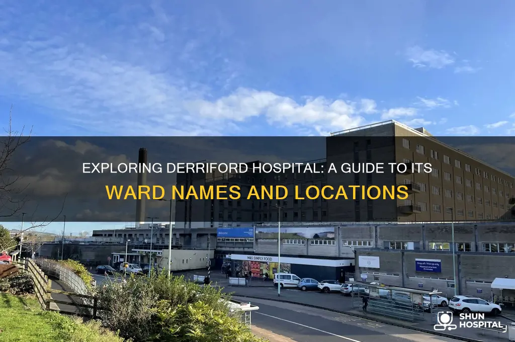 what are the names of the wards in derriford hospital