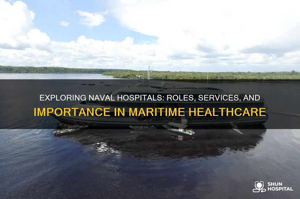 what are the naval hospitals