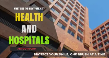 Exploring NYC's Health and Hospitals: Services, Locations, and Community Care