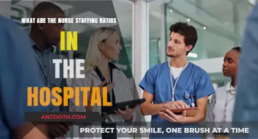 Understanding Nurse Staffing Ratios in Hospitals: A Comprehensive Guide
