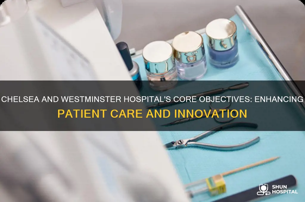 what are the objectives of chelsea and westminster hospital