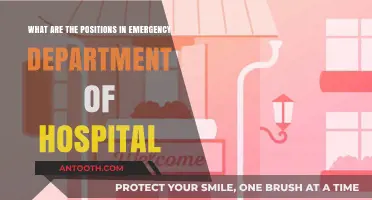 Key Roles in the Emergency Department: Understanding Hospital Staff Positions