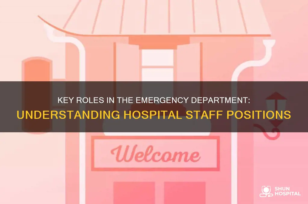 what are the positions in emergency department of hospital
