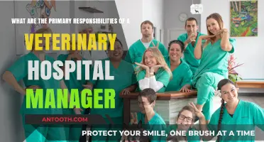 Veterinary Hospital Manager Duties: Leading Animal Care Operations Effectively