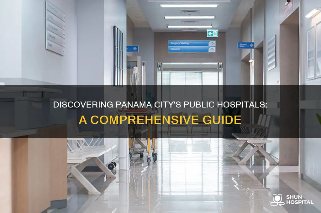 what are the public hospitals in panama city panama