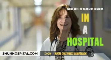 Understanding Hospital Doctor Ranks: A Comprehensive Guide to Medical Hierarchy