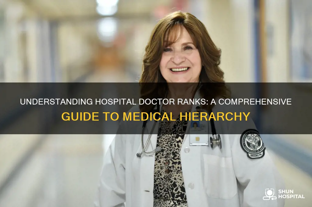 what are the ranks of doctors in a hospital