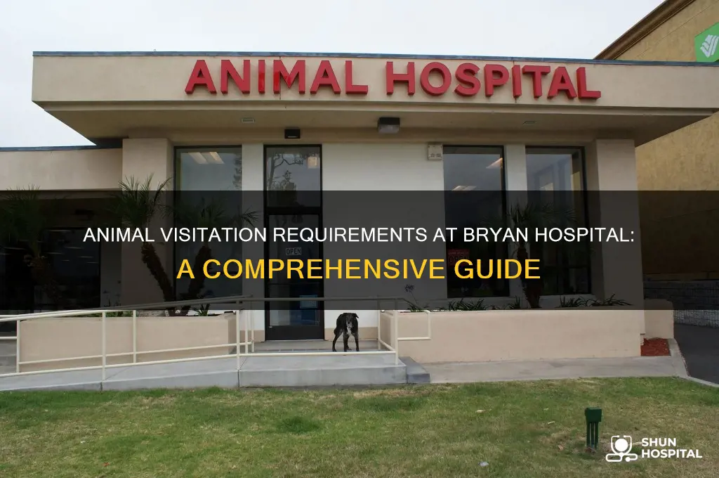 what are the requirements for animal visitation at bryan hospital