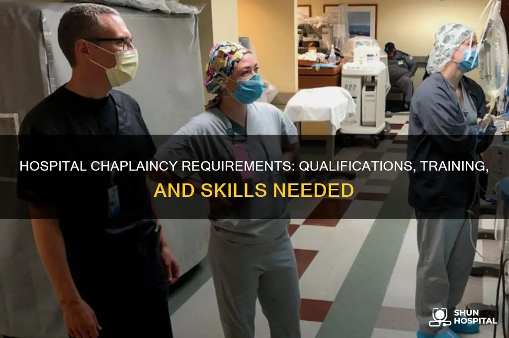 what are the requirements to be a hospital chaplain