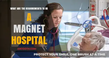 Key Requirements for Achieving Magnet Hospital Designation and Excellence