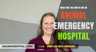 Animal Emergency Hospital Shifts: Understanding the Rotations and Responsibilities