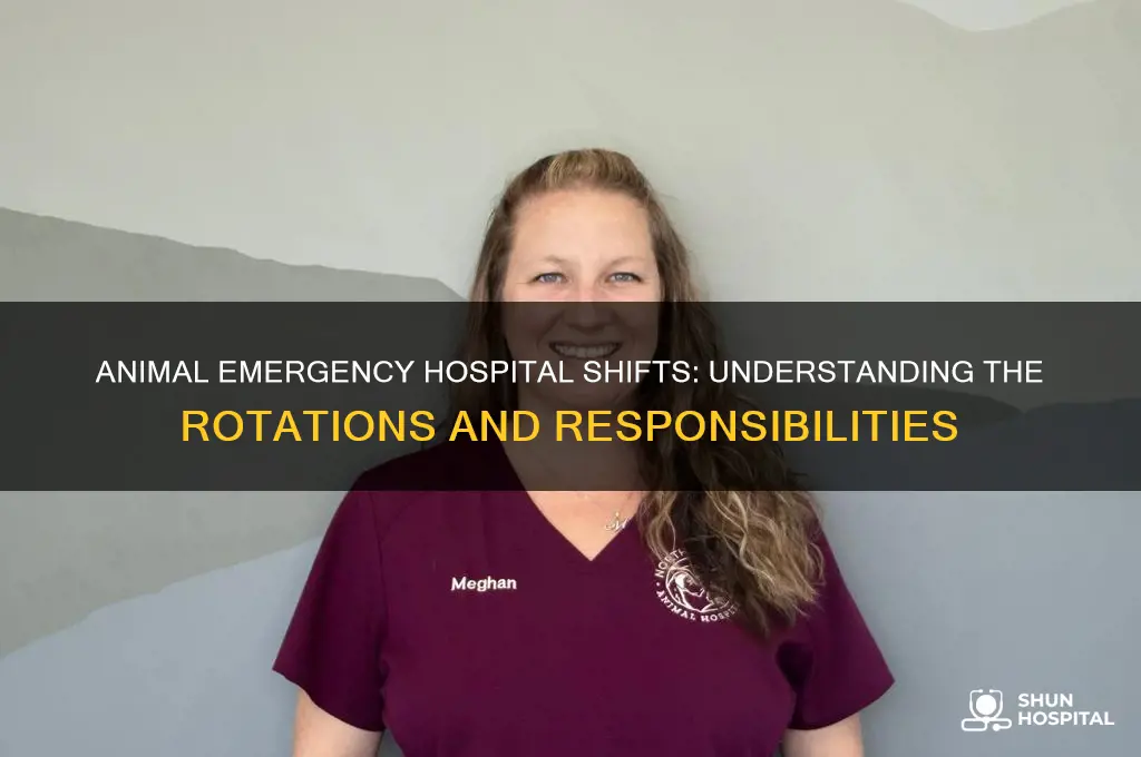 what are the shifts for an animal emergency hospital