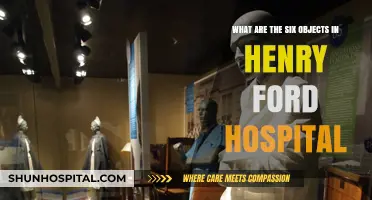 Exploring the Six Iconic Objects in Henry Ford Hospital