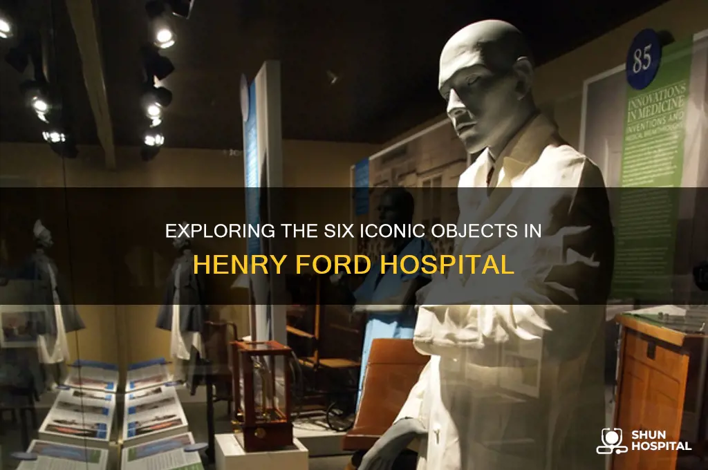 what are the six objects in henry ford hospital