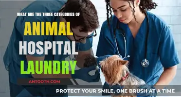 Animal Hospital Laundry: Understanding the Three Essential Categories