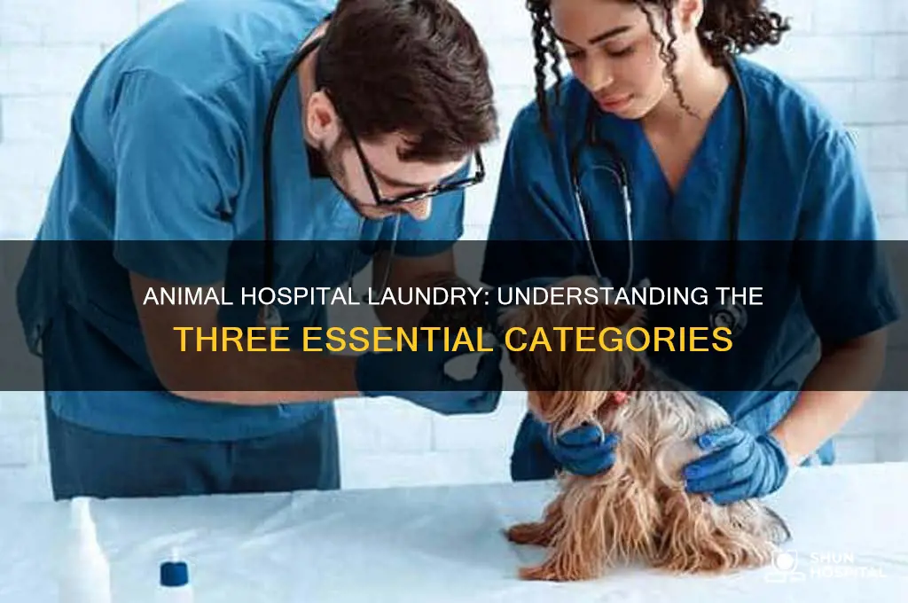 what are the three categories of animal hospital laundry