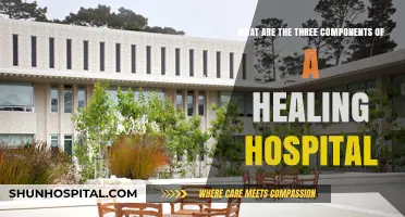 Creating Healing Environments: Exploring the Core Components of a Hospital