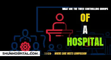 Understanding Hospital Governance: Three Key Controlling Groups Explained