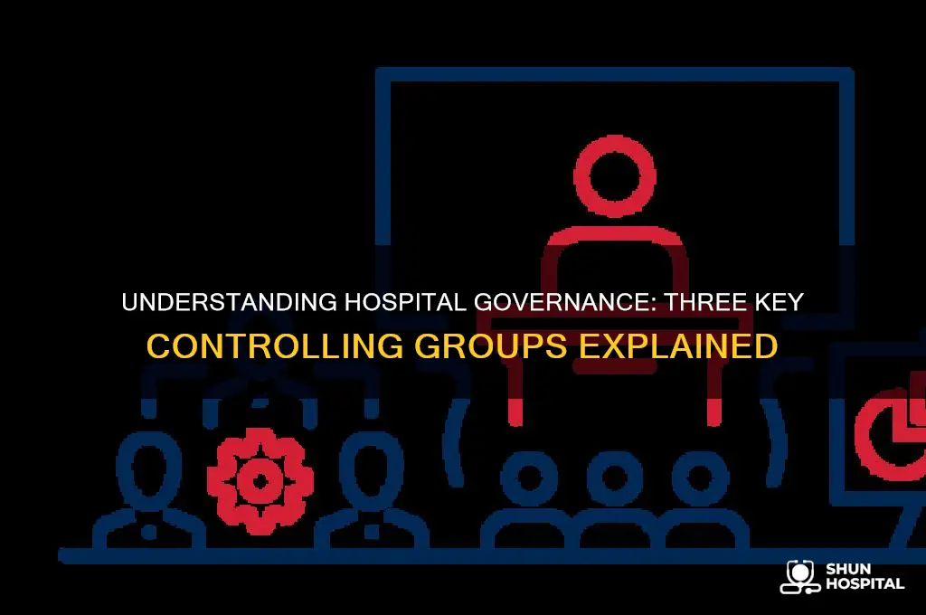 what are the three controlling groups of a hospital
