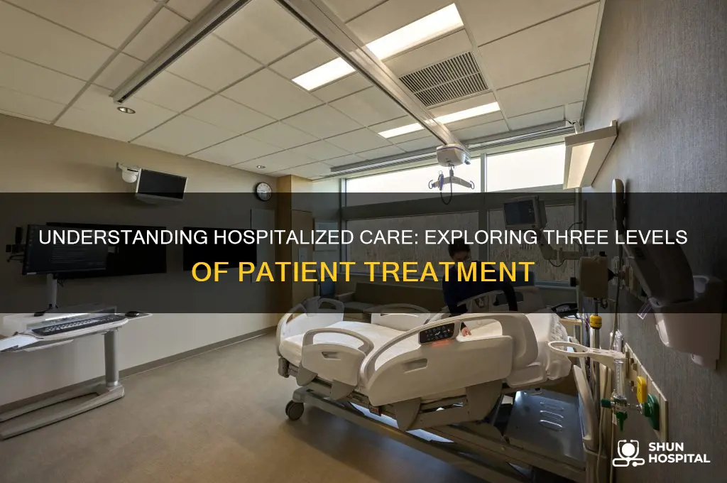 what are the three different levels of hospitalized care