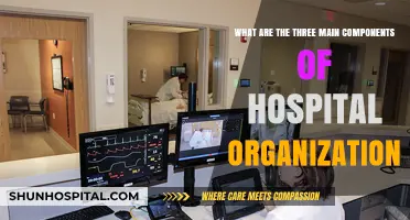 Key Components of Hospital Organization: Structure, Operations, and Leadership
