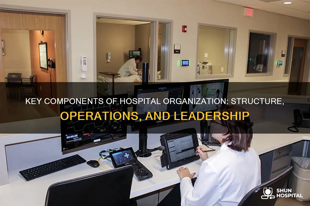 what are the three main components of hospital organization