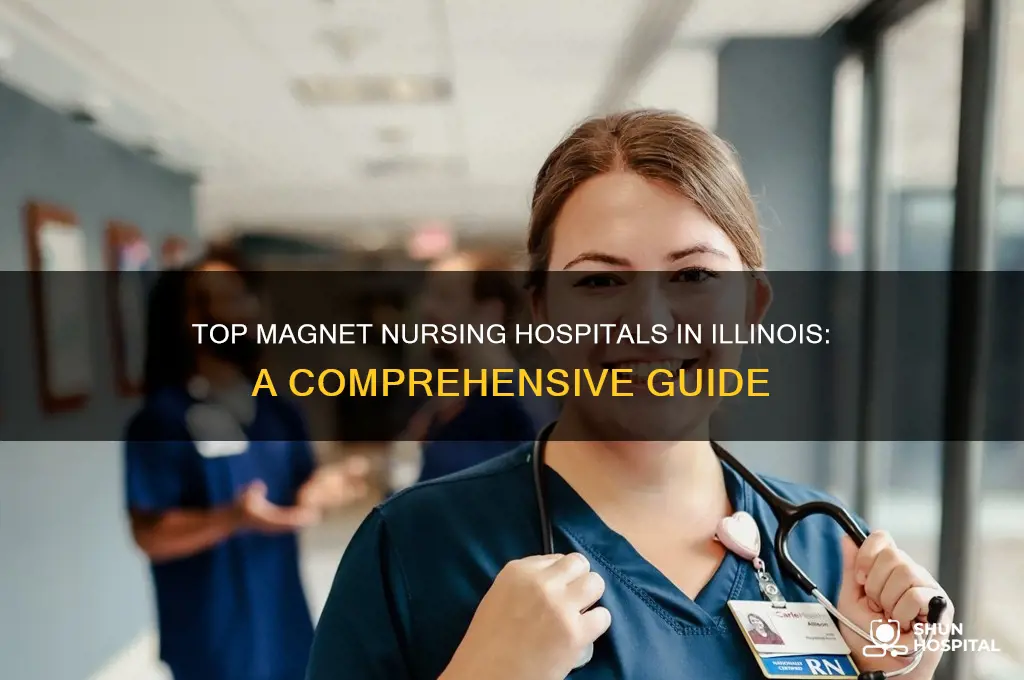 what are the top 10 magnet nursing hospitals in illinois