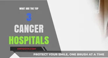 Leading Cancer Hospitals: Top 3 Centers of Excellence