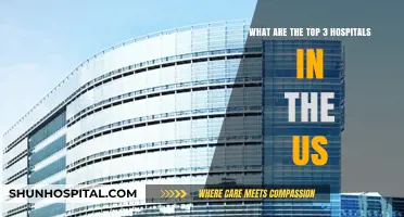 Discover America's Leading Healthcare: Top 3 US Hospitals Revealed