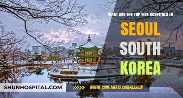 Discover Seoul's Premier Healthcare: Top 5 Hospitals in South Korea