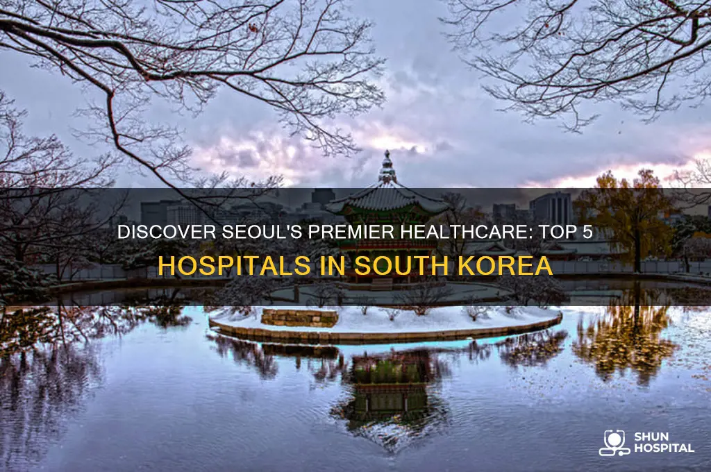 what are the top five hospitals in seoul south korea