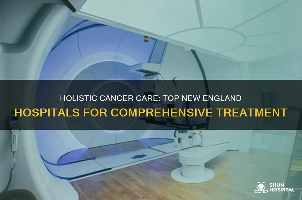what are the top holistic cancer hospitals in newengland