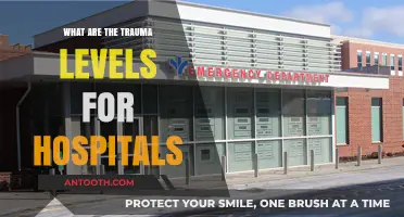 Trauma Center Levels: Understanding Hospital Capabilities
