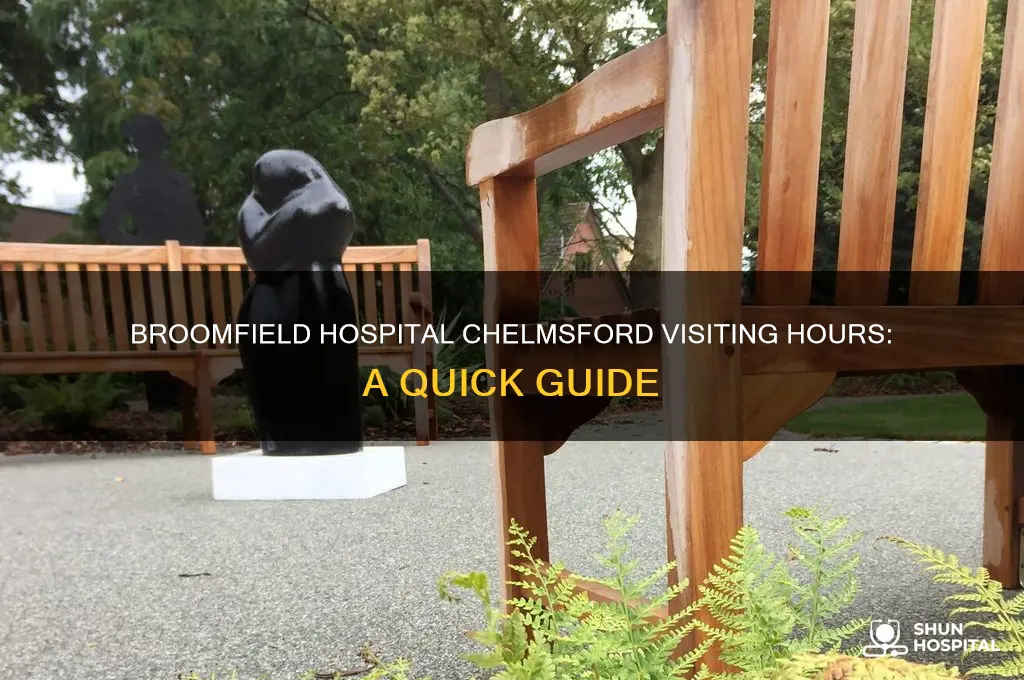 what are the visiting hours at broomfield hospital chelmsford