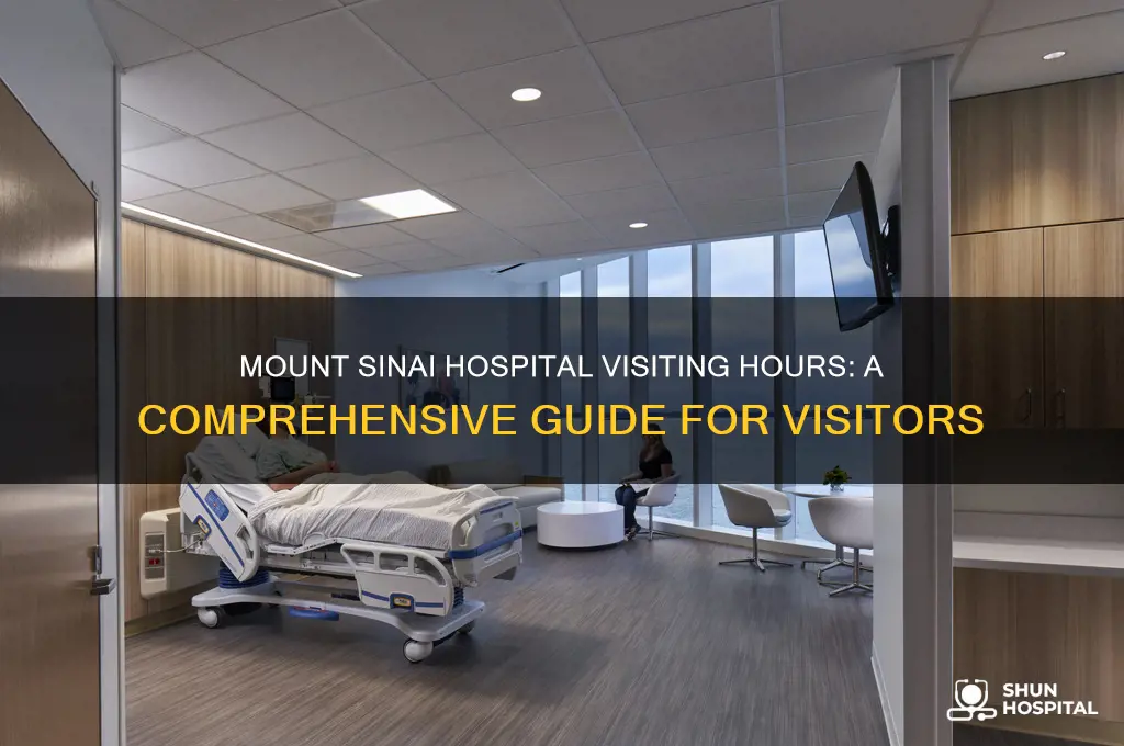 what are the visiting hours at mount sinai hospital
