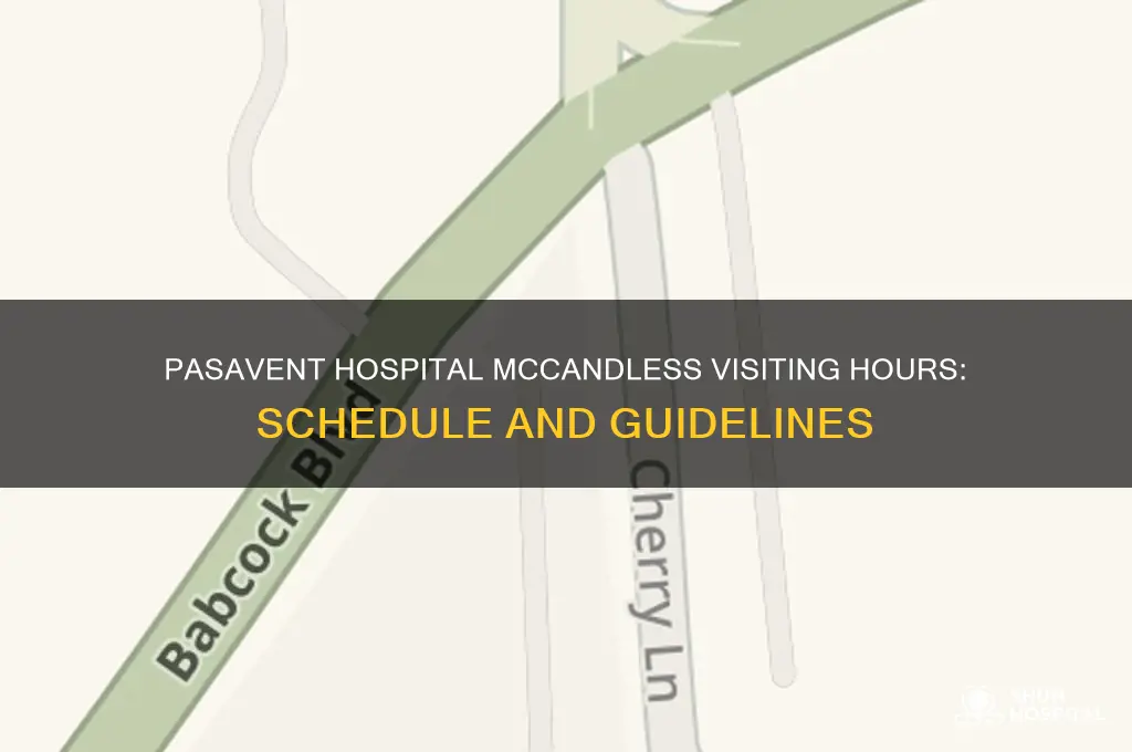 what are the visiting hours at pasavent hospital mccandless