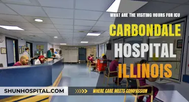 ICU Visiting Hours at Carbondale Hospital, Illinois: What to Know