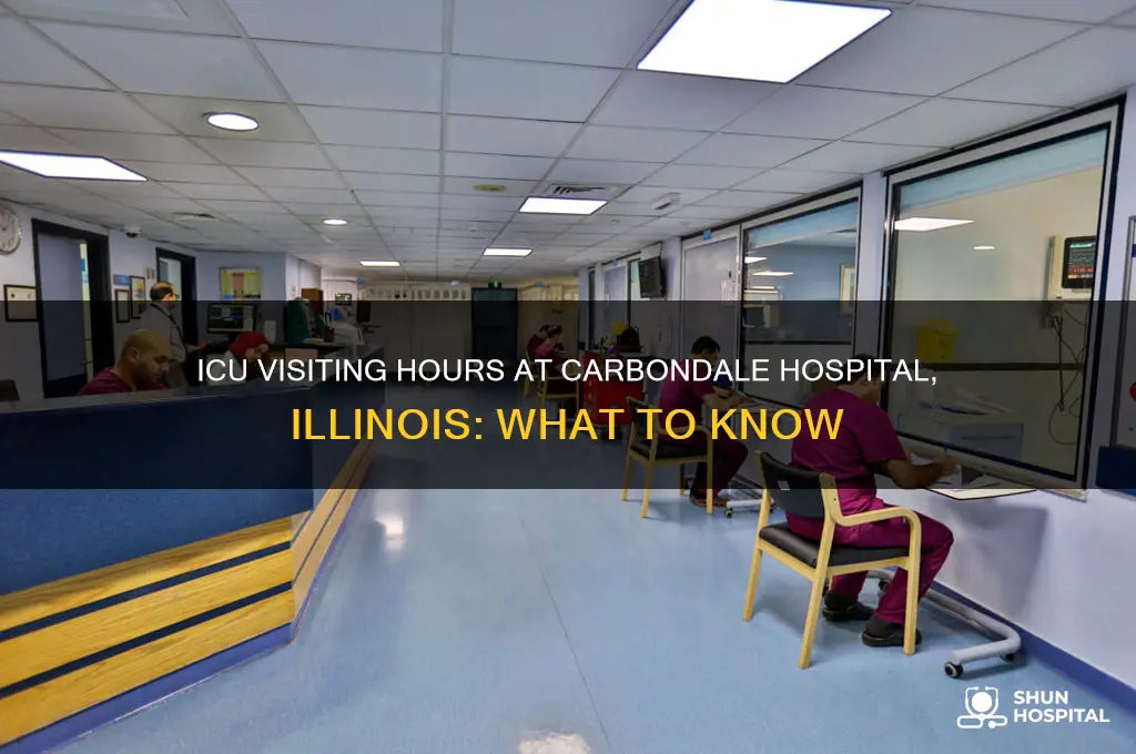 what are the visiting hours for icu carbondale hospital illinois