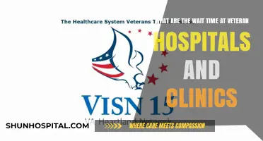 Veteran Healthcare Wait Times: Delays at VA Hospitals and Clinics