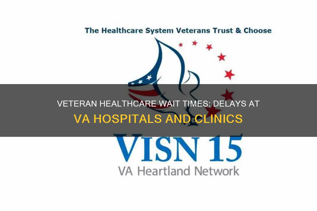 what are the wait time at veteran hospitals and clinics