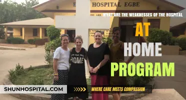 Hospital at Home Program: Uncovering Its Limitations and Challenges