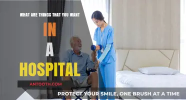 Essential Hospital Features: Comfort, Care, and Cutting-Edge Technology for Patients
