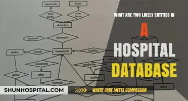 Exploring Key Entities: Patients and Staff in Hospital Databases