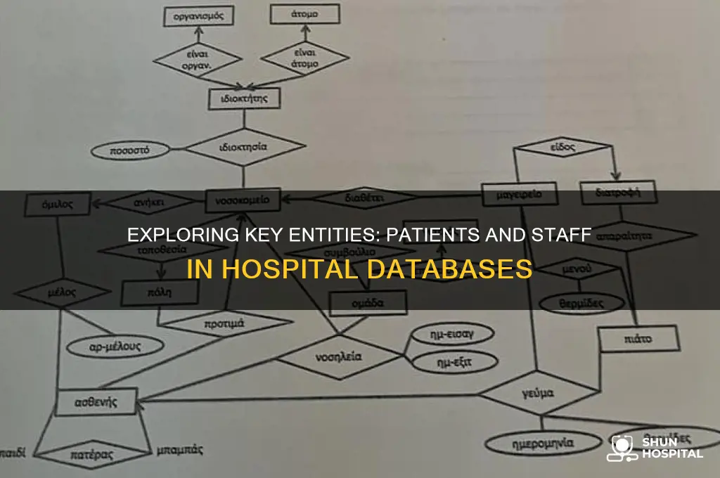 what are two likely entities in a hospital database