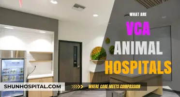 Understanding VCA Animal Hospitals: Comprehensive Care for Your Pets