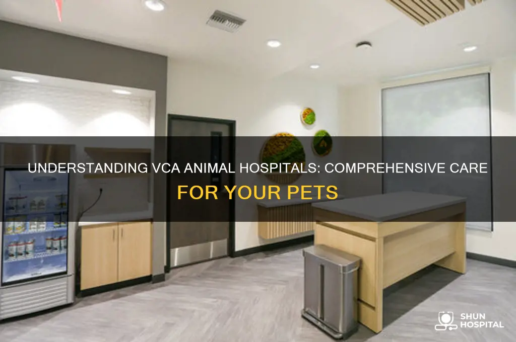 what are vca animal hospitals