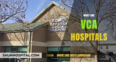 Understanding VCA Hospitals: Comprehensive Veterinary Care and Services Explained